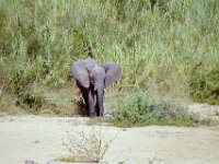 KNP05 06 29