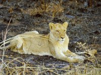 KNP05 07 08