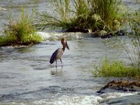 KNP05 07 22
