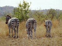 KNP05 08 10