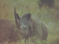 KNP05 09 26