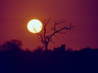 KNP05 09 28