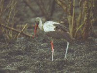 KNP05 10 15