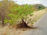 KNP05 10 27a