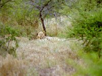 KNP05 10 34