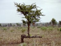KNP05 11 09