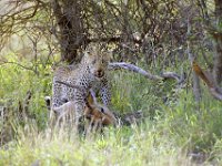 KNP05 14 30