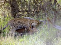 KNP05 14 31