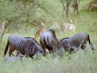 KNP05 16 01