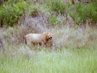 KNP05 16 29