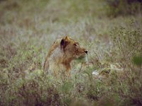 KNP05 17 05