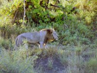 KNP05 17 23