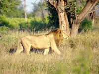 KNP05 17 26