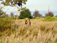 KNP05 17 32