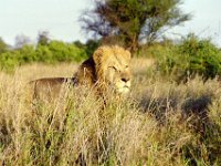 KNP05 17 33