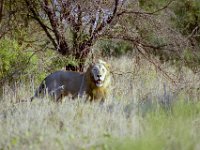 KNP05 18 12
