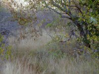 KNP05_18_29