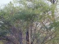 KNP05_18_35