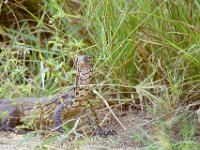 KNP05_19_09