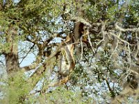 KNP05_19_16