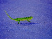 KNP05_19_17