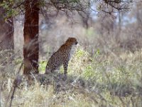 KNP05_20_01
