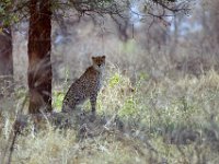 KNP05_20_02