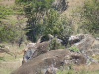 TAN08_010_43_00028